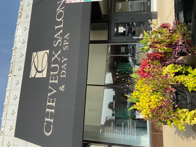 Cheveux salon & day spa - glen ellyn, il